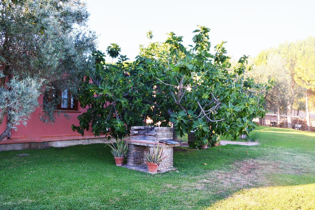 Agriturismo L'Aquilone Magliano in Toscana Exteriör bild